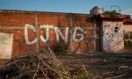 9 muertos y 15 detenidos tras enfrentamientos entre el CJNG y Viagras en Michoacán
