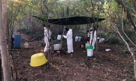 Sin narcolaboratorios en Coahuila; sin embargo hay decomisos de fentanilo
