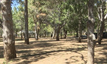 Realizarán actividades por la Hora del Planeta en Saltillo