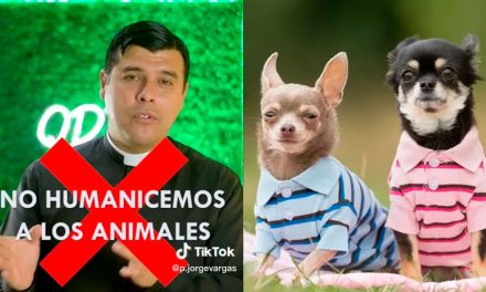 Son más importantes los humanos; sacerdote pide no humanizar a las mascotas