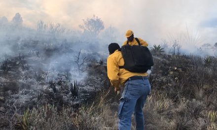 Solicitan más recurso para atender incendios forestales en Coahuila
