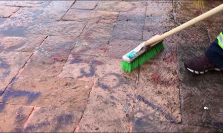 Fueron daños menores por conmemoración del 8M: Ayuntamiento de Saltillo