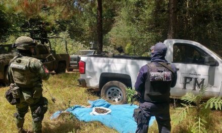7 muertos y 2 heridos tras enfrentamiento entre la Sedena y miembros de la Familia Michoacana