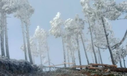 Bajas temperaturas dejan bellas postales del Cerro del Potosí, en Galeana, Nuevo León