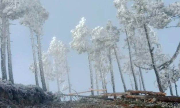 Bajas temperaturas dejan bellas postales del Cerro del Potosí, en Galeana, Nuevo León
