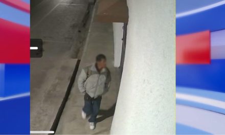 Atrapan a ratero que era el terror del centro de Saltillo