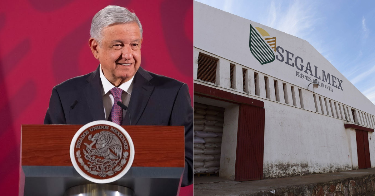 Se han recuperado 900 millones de pesos en caso Segalmex : López Obrador