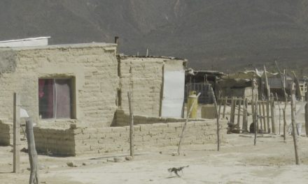 Dejó sequía pérdidas por más de 20 mdp en Coahuila