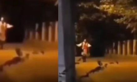 Ella es  Baba za Zvezdara, la mujer serbia que siembra el terror en internet (video)