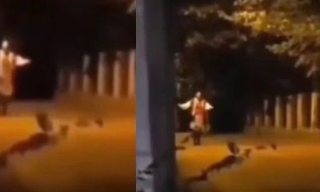 Ella es  Baba za Zvezdara, la mujer serbia que siembra el terror en internet (video)