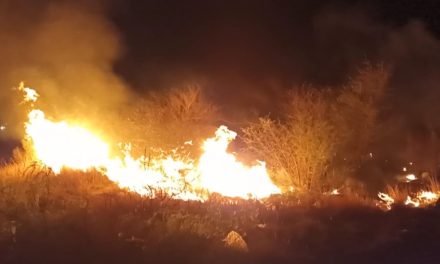 Arde tejabán en medio de un arroyo en Saltillo