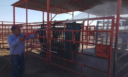 Combaten tuberculosis en ganado en la región Centro