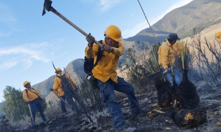 Buscan prevenir incendios forestales en Saltillo