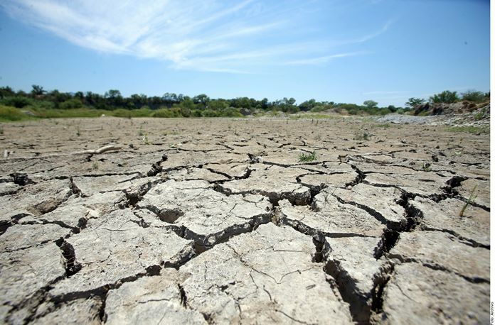 Sequía pone en riesgo producción de manzana en Arteaga