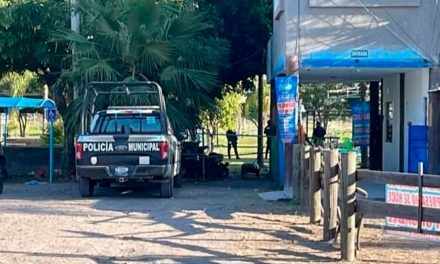 Piden ayuda para niña de 6 años que sobrevivió a ataque en balneario donde murieron 7 personas en Guanajuato