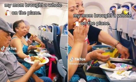 Video: Familia se hace viral al subirse al avión con una cazuela de pollo para comer