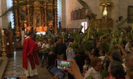 Celebra Diócesis de Saltillo Domingo de Ramos