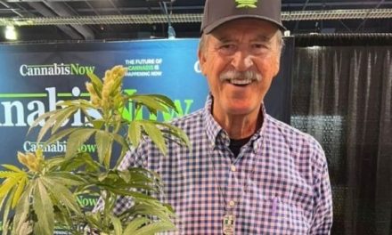 Esta es la empresa de cannabis ligada a Fox con permisos irregulares
