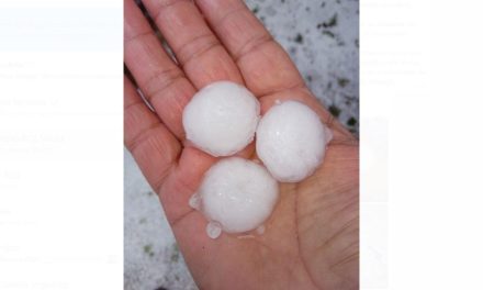 Fuerte granizada en cañones de Arteaga causa considerables daños en huertos de manzana