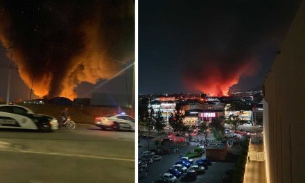 Se incendia la gran Central de Abastos en CDMX: sin heridos hasta ahora, reporta Sheinbaum