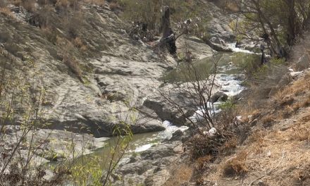Identifican arroyos con mayor acumulación de basura en Saltillo para hacer limpieza