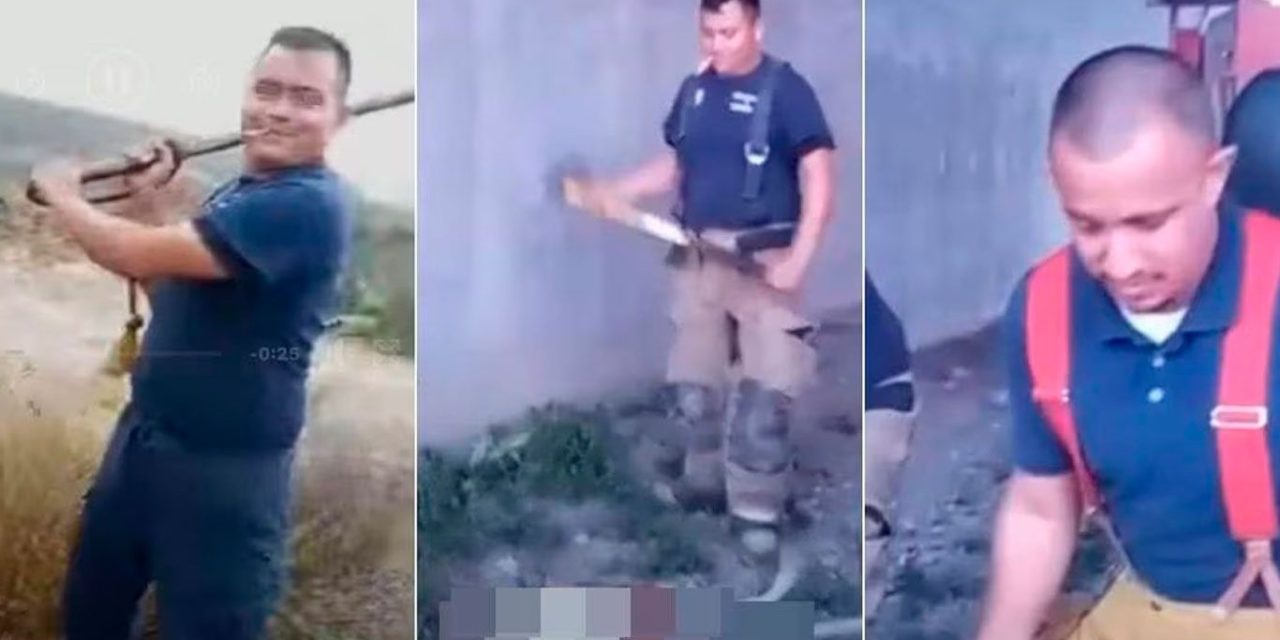 Saltillenses convocan a manifestación pacífica por perritos asesinados en Monclova