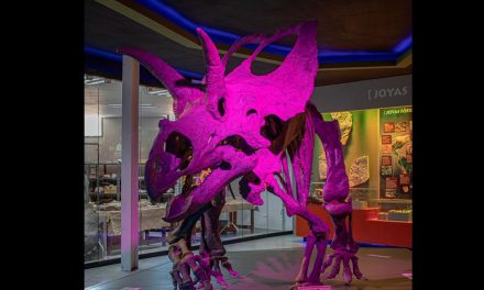 Museo del Desierto ofrece entradas al 2×1 por el Día del Niño