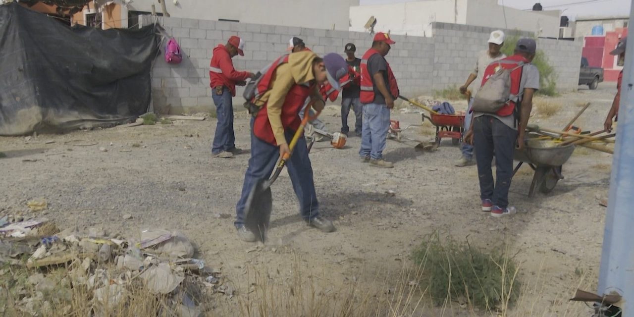Piden a la población no bajar la guardia contra la rickettsia en Coahuila