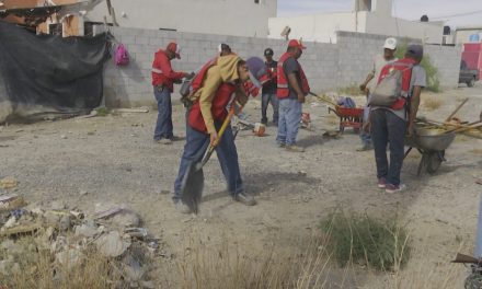 Piden a la población no bajar la guardia contra la rickettsia en Coahuila