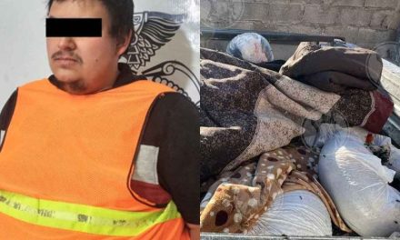 Hallan 118 perros muertos en camioneta en domicilio de Ciudad Juárez