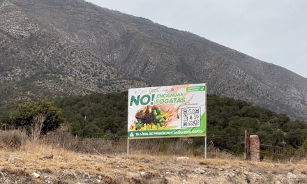 En 8 días sancionan a dos personas por generar conatos de incendio en la Sierra de Arteaga