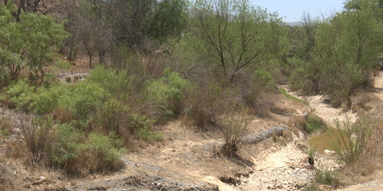 Intensa sequía continuará en Coahuila
