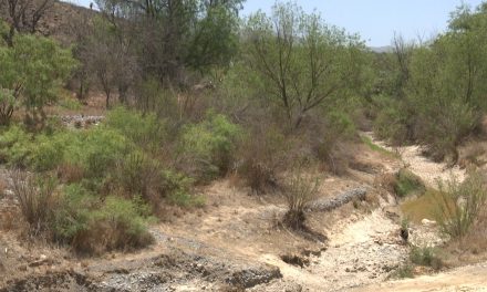 Intensa sequía continuará en Coahuila