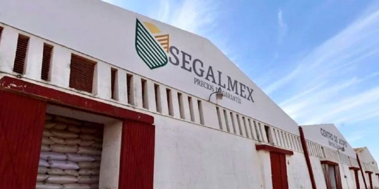 Ordenan liberar a exdirector de Finanzas de Segalmex