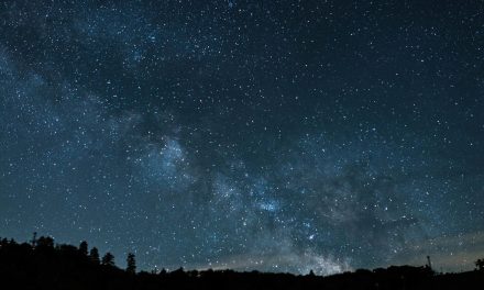 Ya no podrás verlas; las estrellas desaparecerán en 20 años por la contaminación