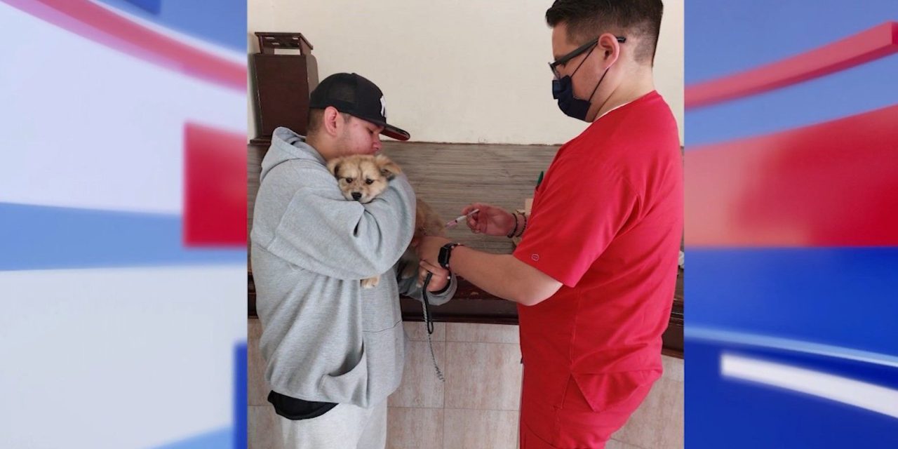 Realiza Arteaga campaña de esterilización gratuita