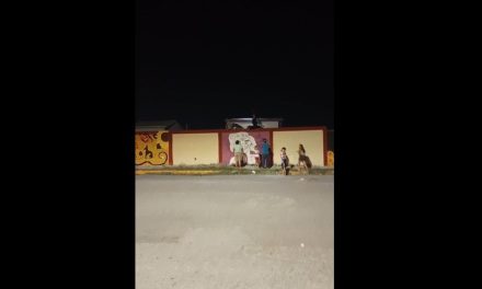Reportan aparición del ‘hombre pájaro’ en un panteón de Coahuila