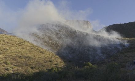 Se han presentado 20 conatos de incendio en Arteaga