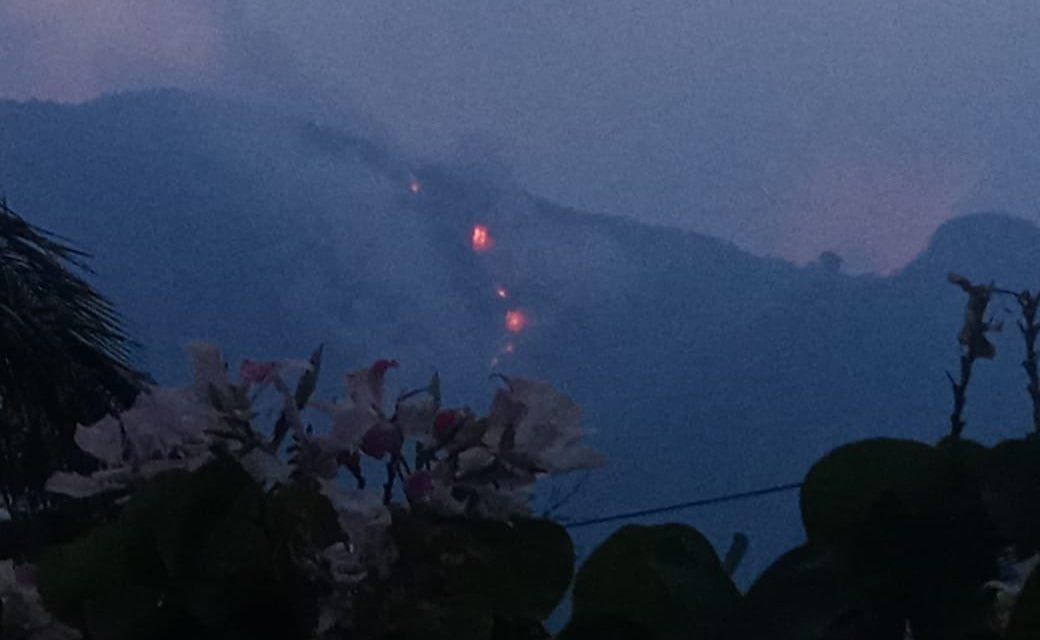 Reportan incendio forestal ‘incontrolable’ que amenaza reserva natural en Tabasco