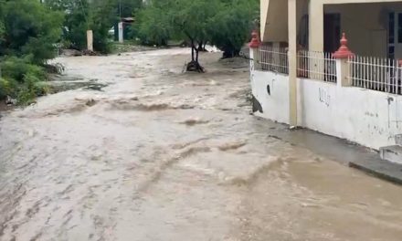 Tormenta en Monclova deja árboles y cables caídos