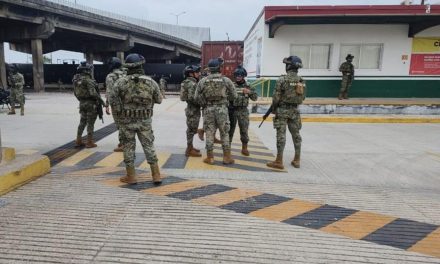 Fuerzas armadas toman vías férreas de Grupo México