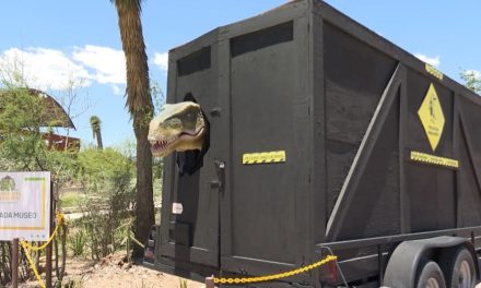 Saltillo: Ofrecerá Museo del Desierto descuento por votar