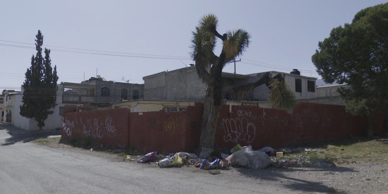 No respetan área verde en Lomas del Bosque