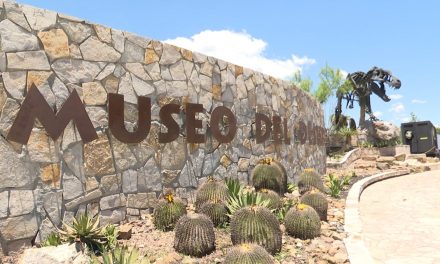 Proyecta Museo del Desierto nueva área para 2024
