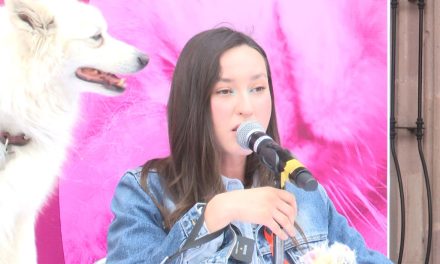 Convoca diputada  Lizbeth Ogazón al Foro para mejorar leyes para la protección de animales en Coahuila