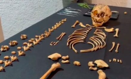 Descubren en Chiapas osamentas de 25 niños