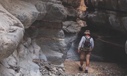 Alertan por fraudes por agencias de viajes en Coahuila