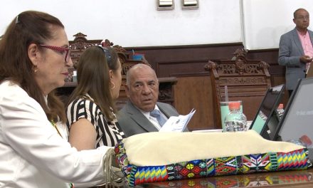 Piden al Senado se de mayor difusión a Alerta Amber