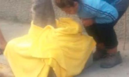 Abandonan a recién nacido en calles del Estado de México y fallece de hipotermia