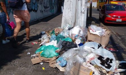 Saltillo: Acumulación de basura al norte de la ciudad podría resultar en un foco de infección